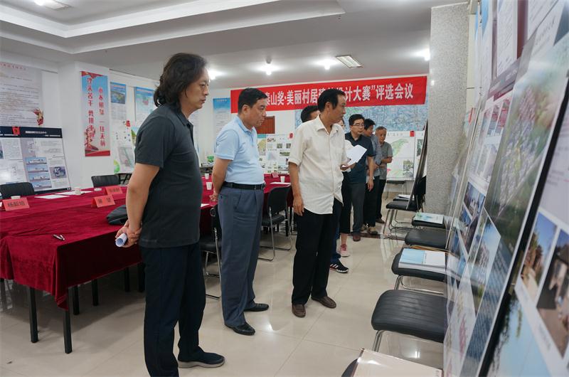 美麗村居設(shè)計(jì)大賽風(fēng)云起 八仙過(guò)海顯神通(圖6)